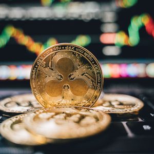 tokenized stocks